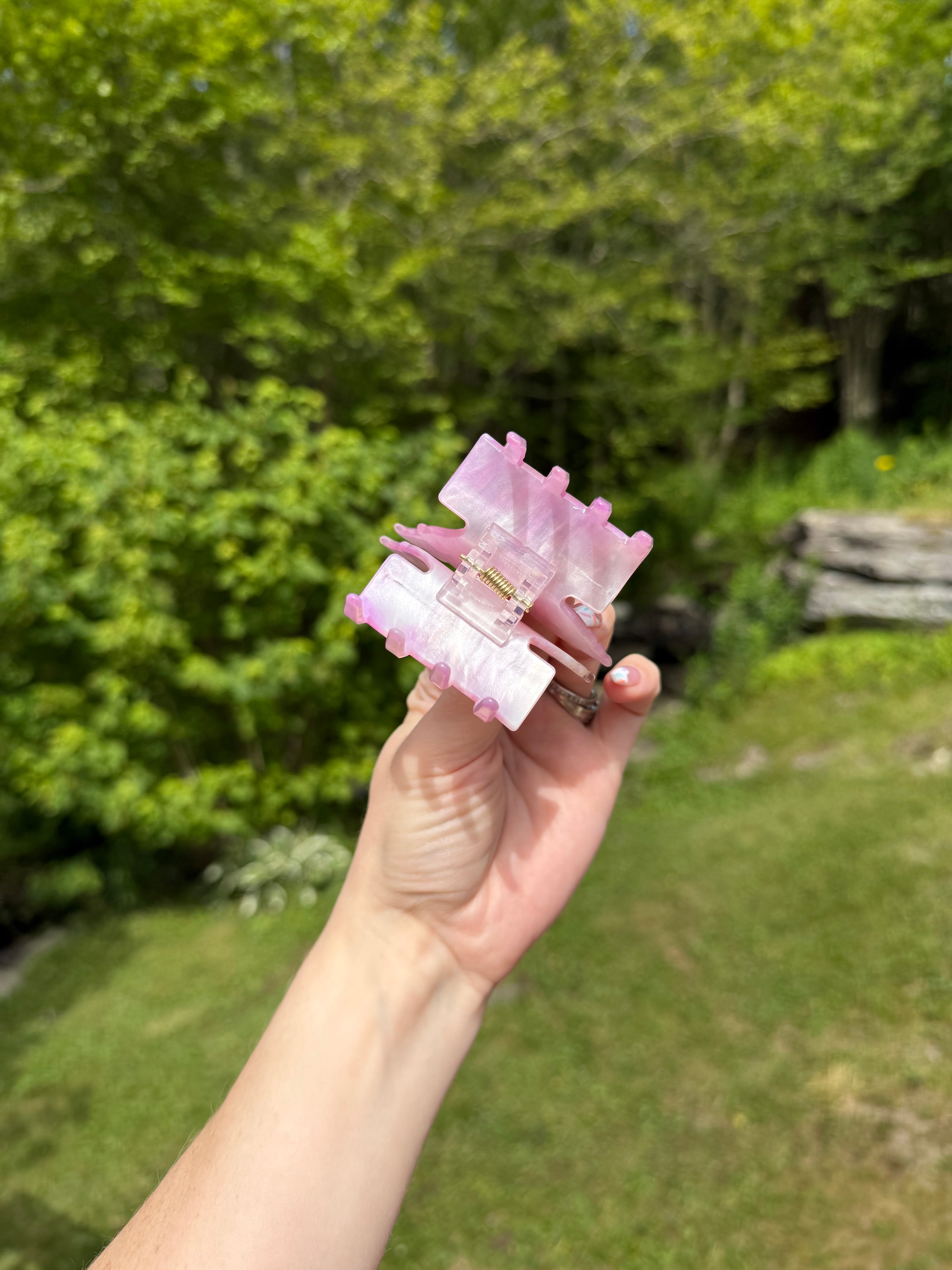 Butterfly Clips 🦋