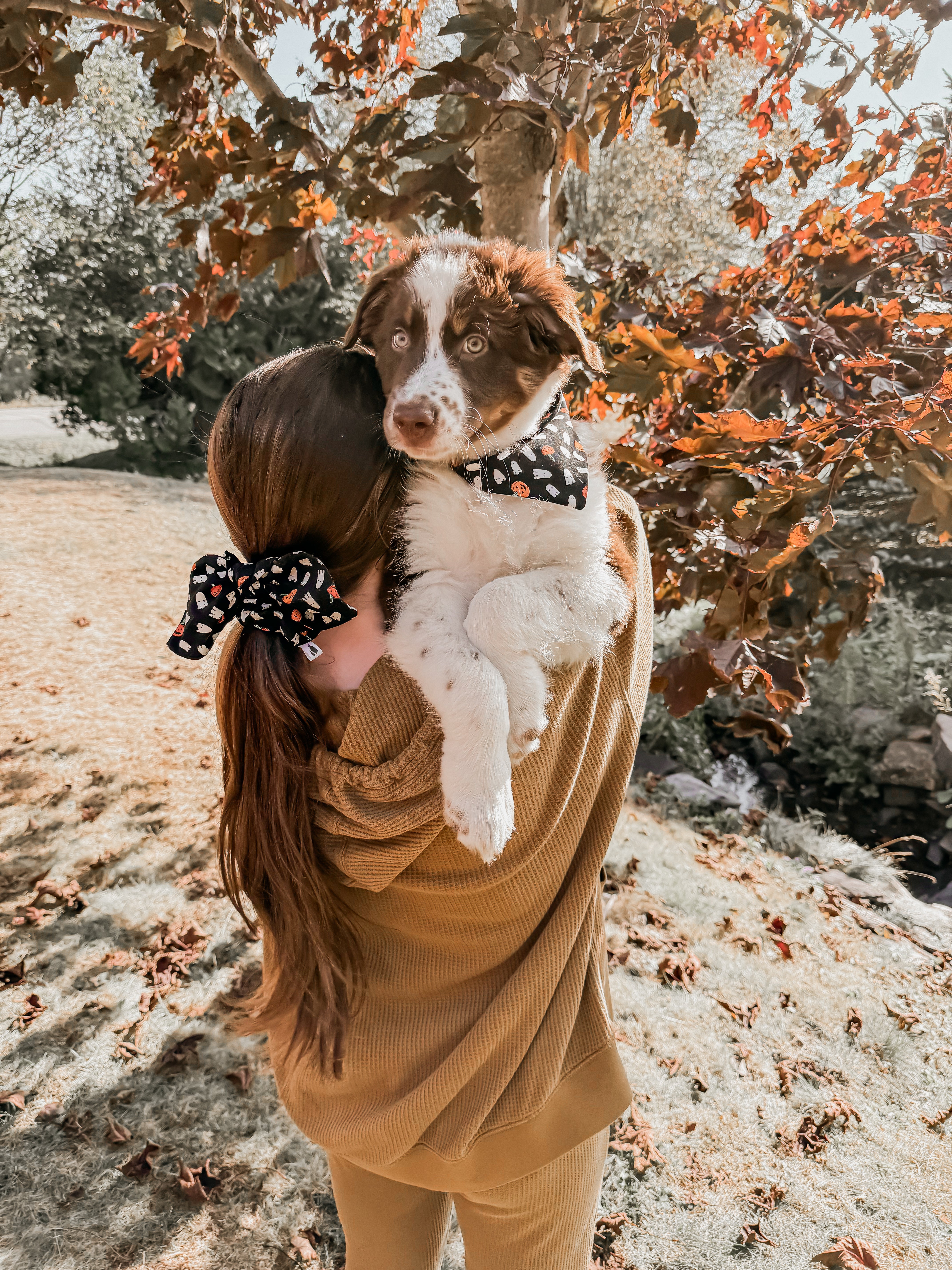 Monster Mash Pet Bandana🐶✨🐱
