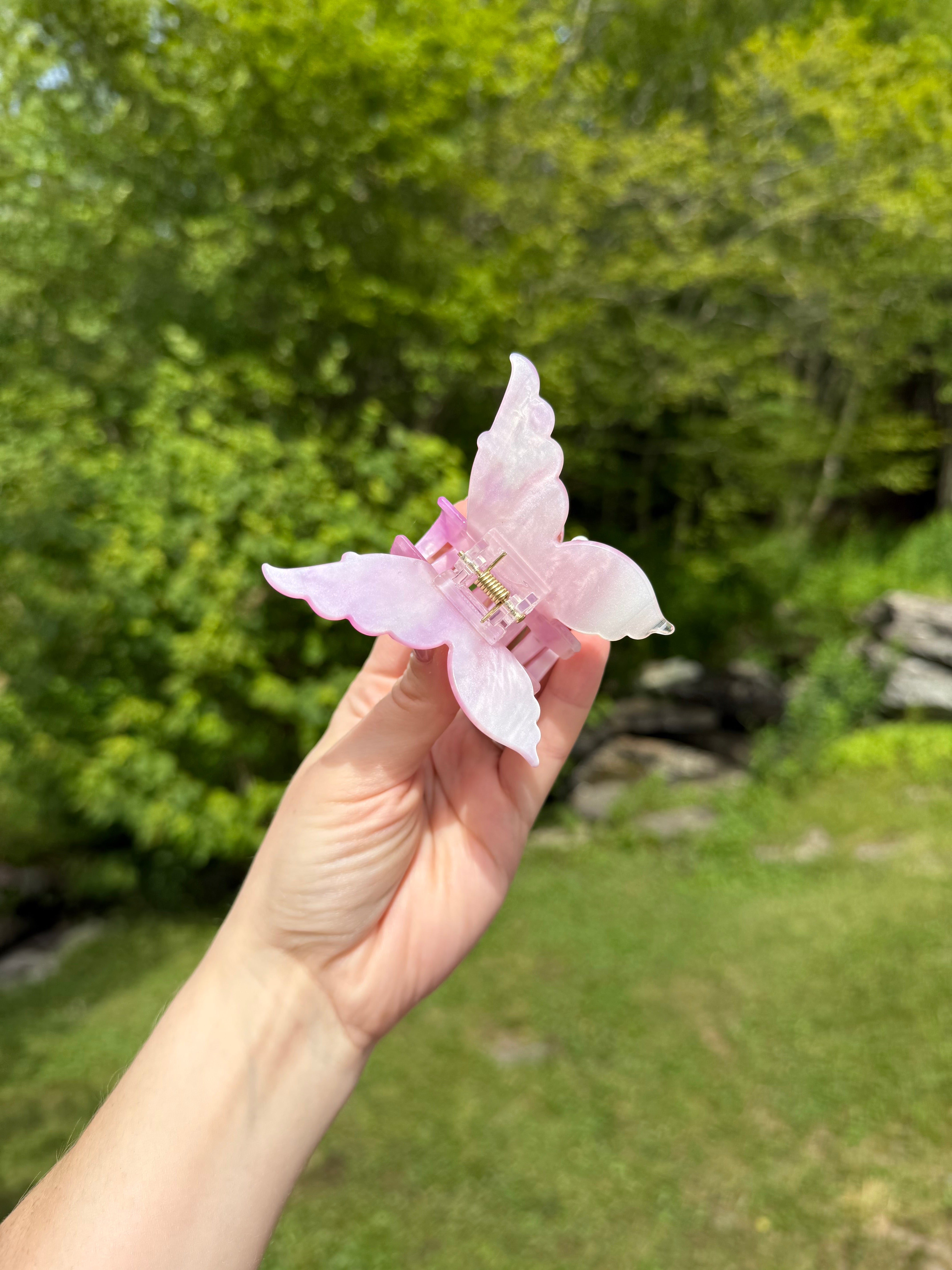 Butterfly Clips 🦋