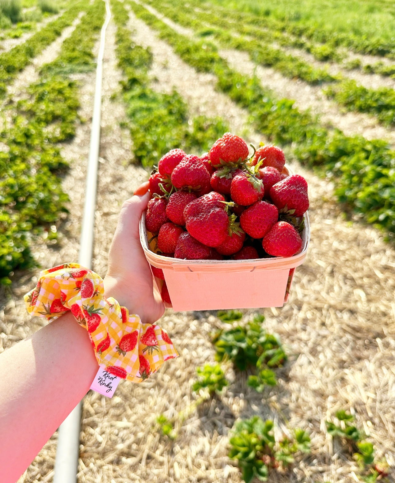 Strawberry Fields🍓